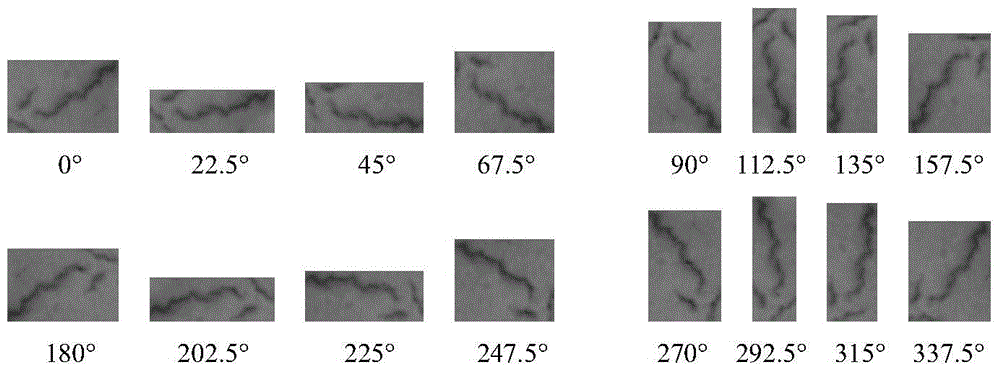 A Feature Extraction and Classification Method for Strip Surface Defects
