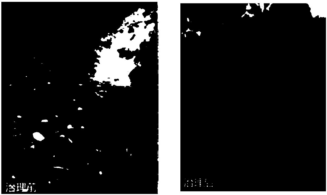 Mixed strain capable of continuously degrading sulfides in black and odorous river water, strain carrier and method