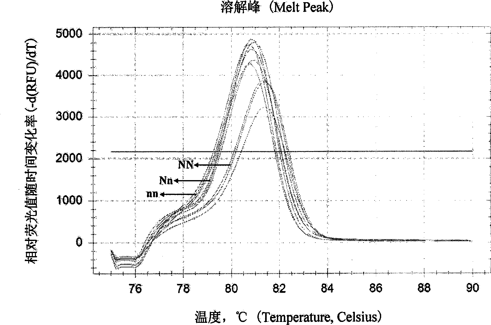 Swine halothane gene rapid typing kit and detection method thereof