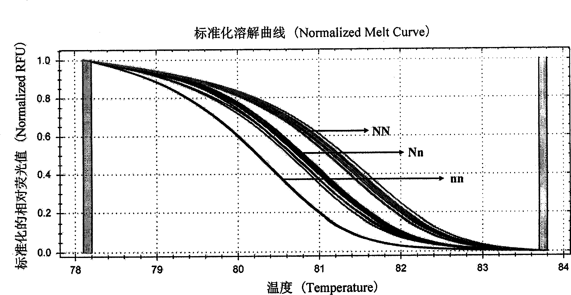 Swine halothane gene rapid typing kit and detection method thereof