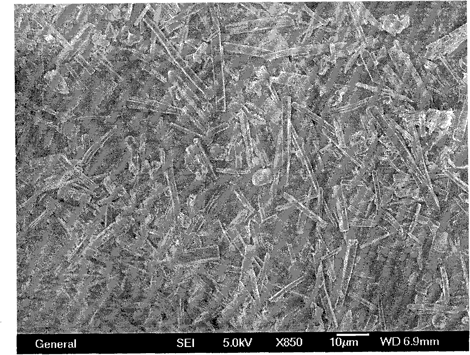Method for preparing carbon material with high specific surface area by using metallic organic framework material as template