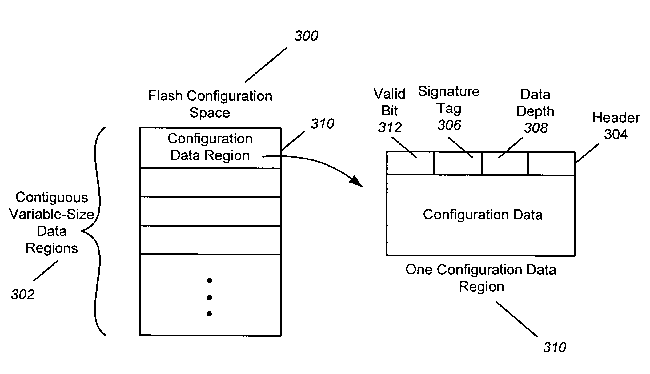 Managing configuration data in a flash configuration space in flash memory within a host interface port