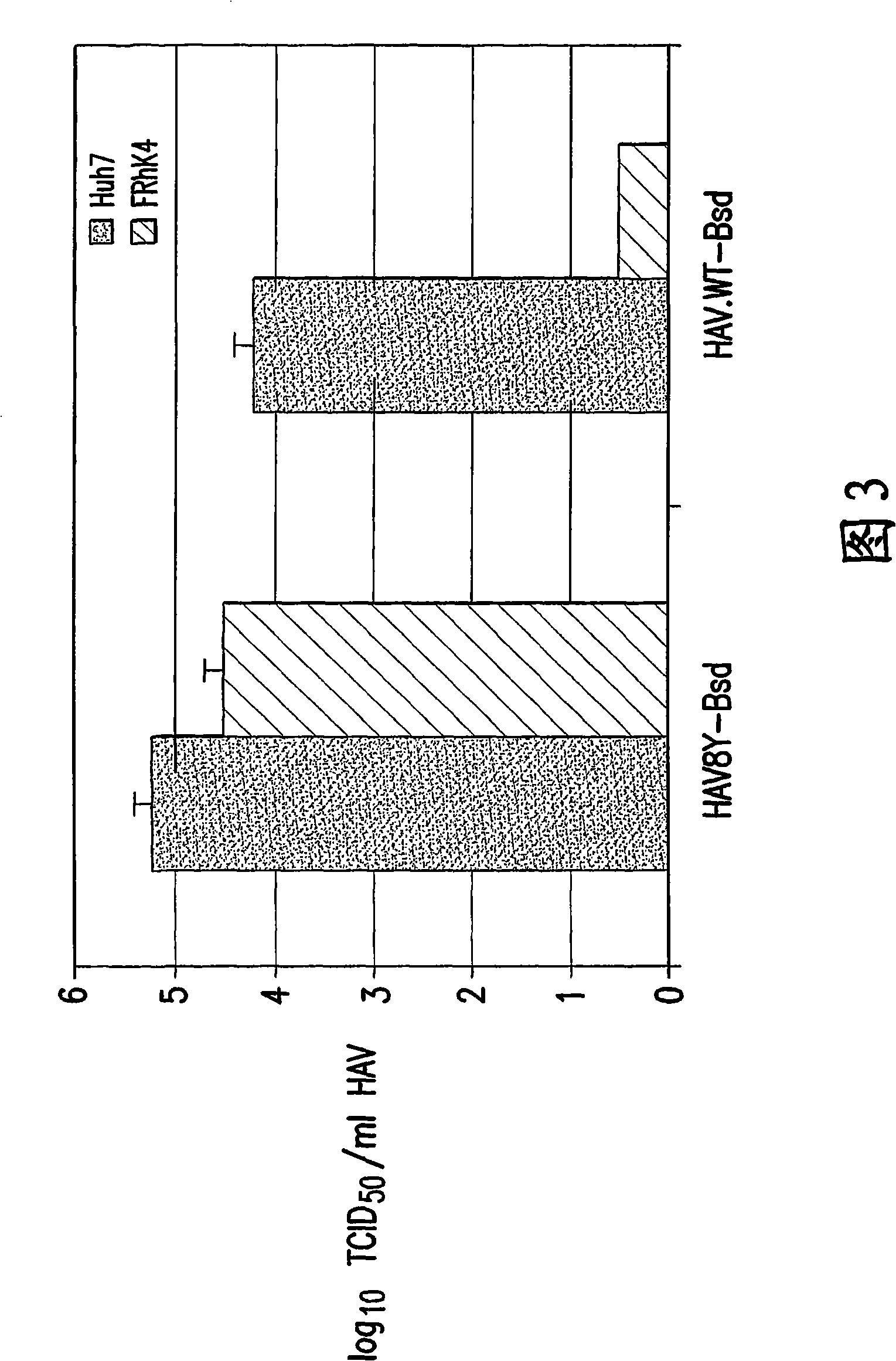 Growth of wild-type hepatitis a virus in cell culture