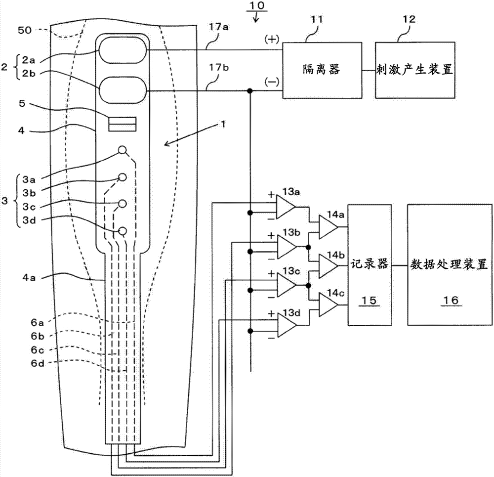 Muscle condition measurement sheet