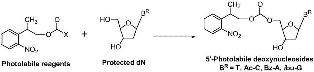 Carbonic ester type photosensitive reagent and preparation method thereof as well as preparation method of 5'-photolabile dN