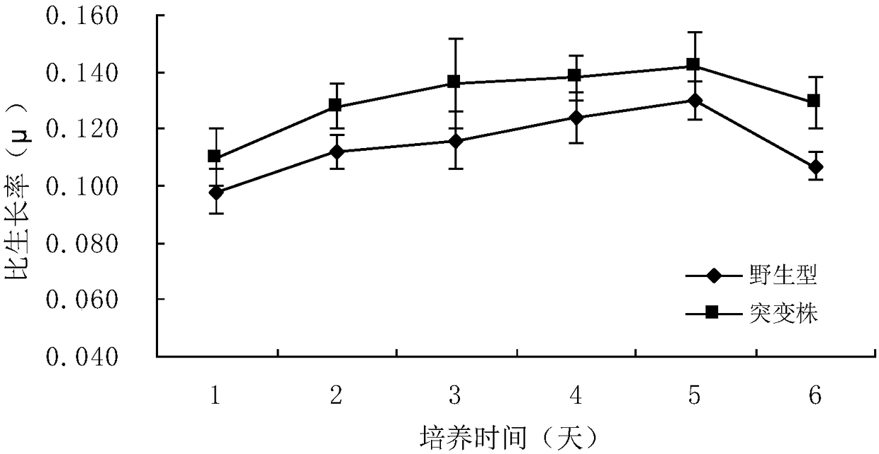 Application of gene spkD for regulating growth rate of Synechocystis