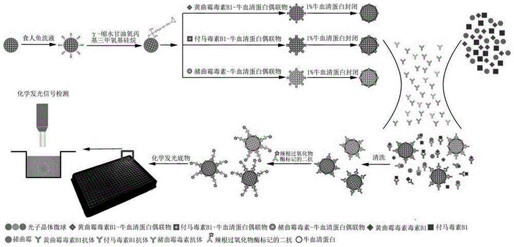 Photonic crystal microsphere liquid chip chemiluminescence method for multiple detection of mycotoxins with high sensitivity