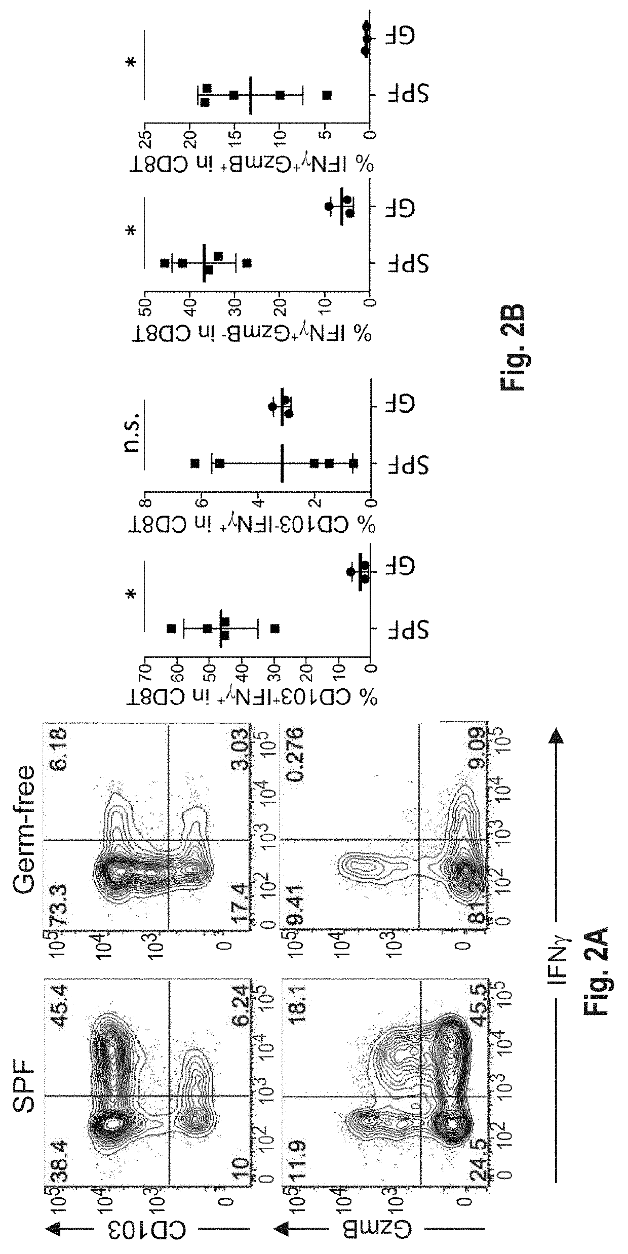Compositions and methods for the induction of cd8+ t-cells