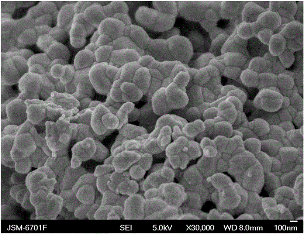 Preparation of Zein/Calcium Carbonate Composite Particles and Its Application as Drug Carrier