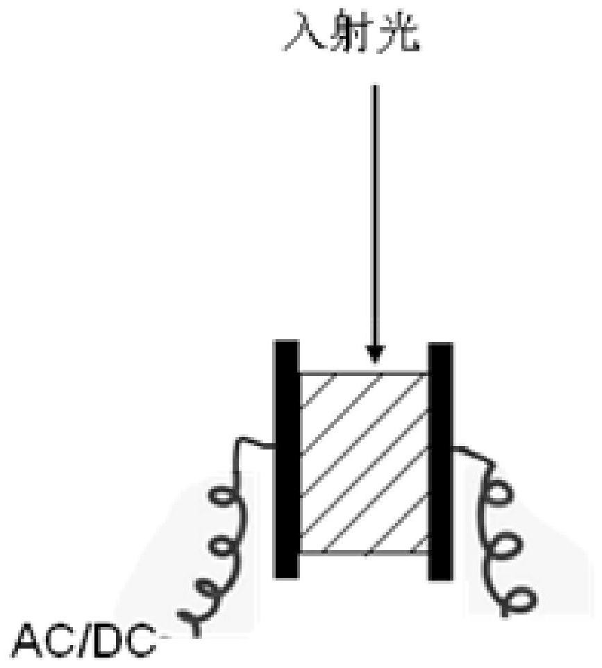 Device and method for eliminating fluorescence interference in Raman spectrum by electrifying