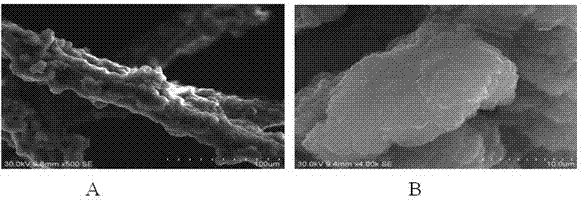 Adsorption material for coupling tannin on the surface of non-woven fabric and its preparation method