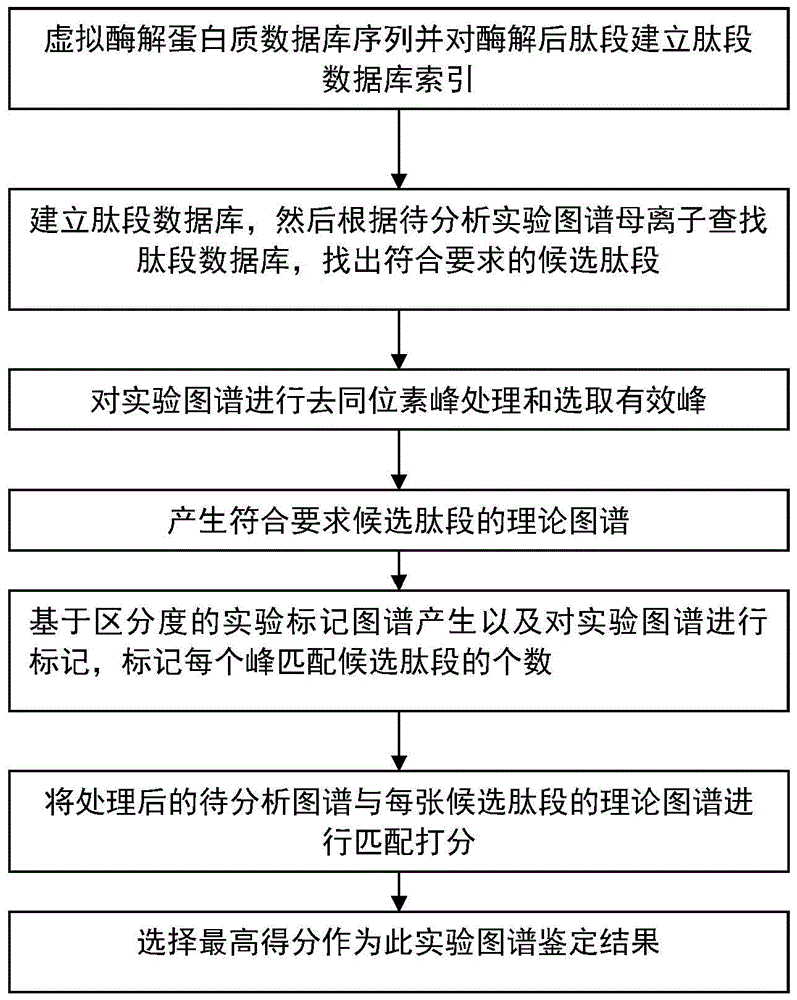 Identification method of protein by MS/MS based on mass-to-charge ratio error recognition ability