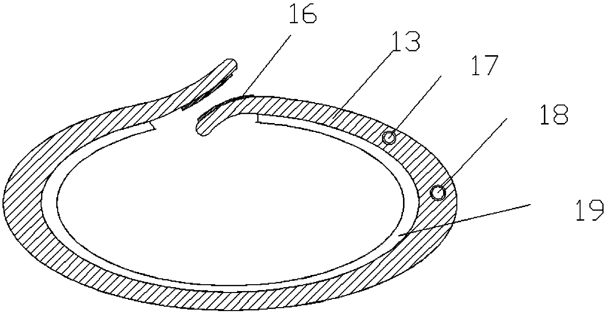 Biliary drainage tube fixing device for post-orthotopic liver transplantation