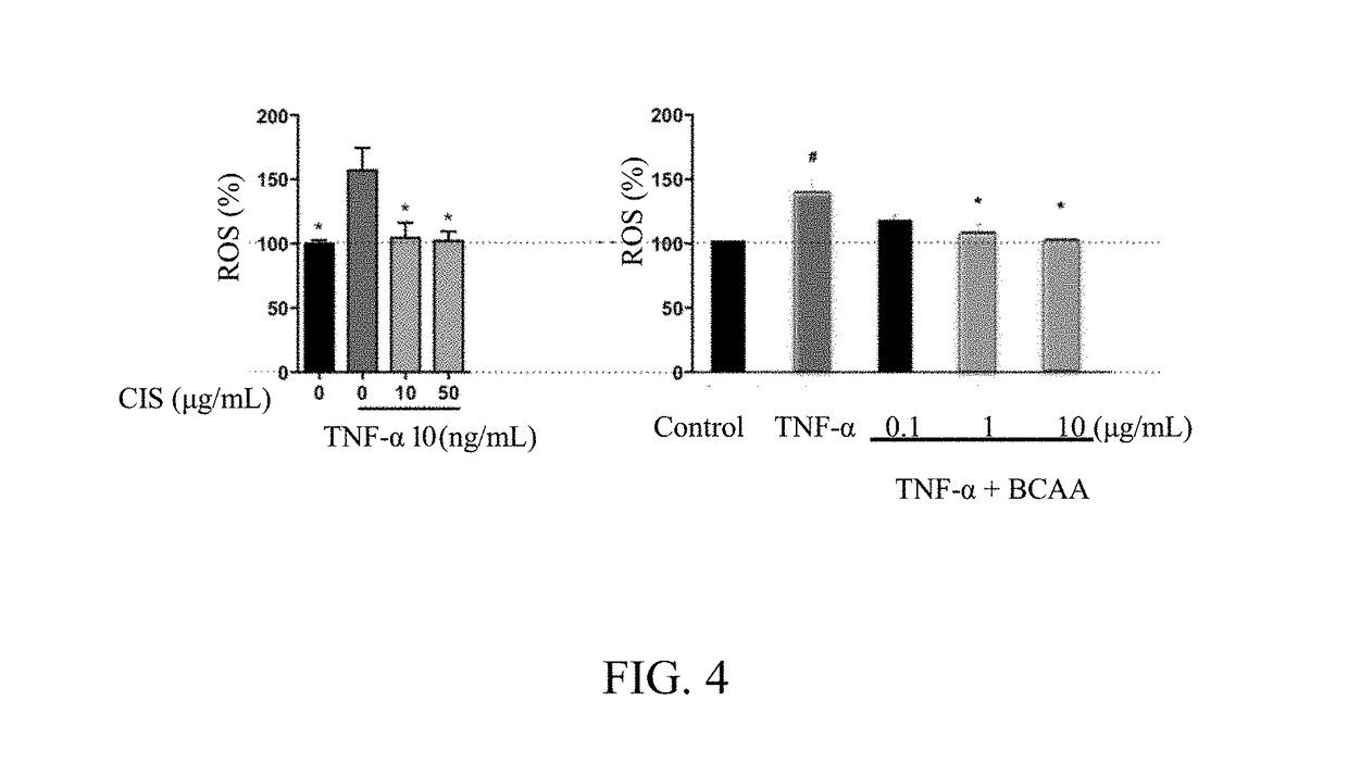 Uses of cistanche tubulosa extract and isoacteoside in protecting muscle