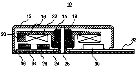 Brushless DC Vibration Motor