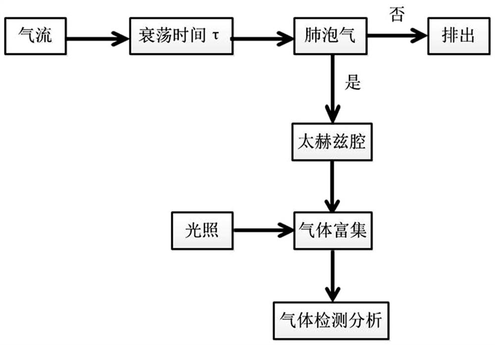 A system and method for detecting volatile organic molecules in exhaled breath