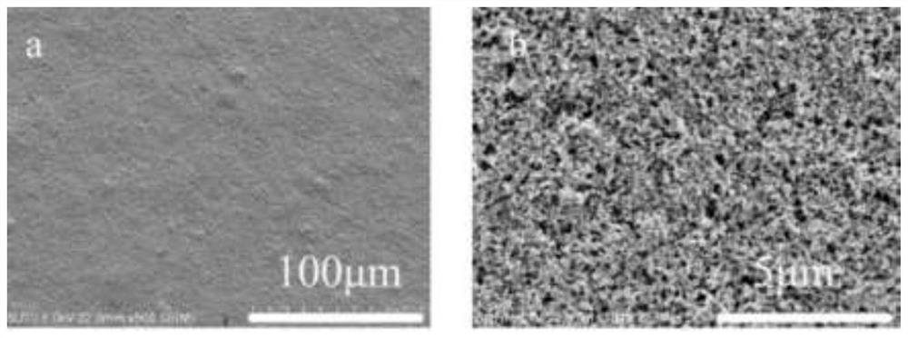 Flexible electrode based on polyvinyl alcohol and preparation method of flexible electrode