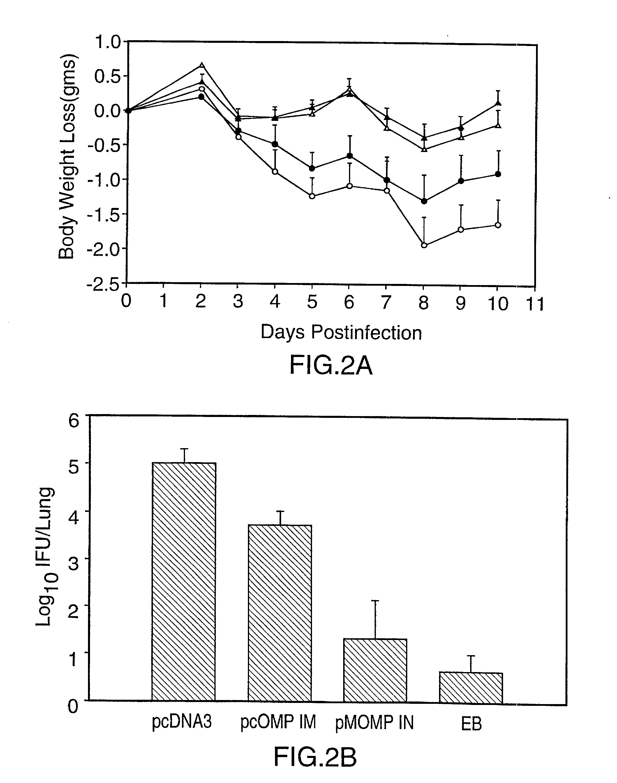 DNA immunization against chlamydia infection