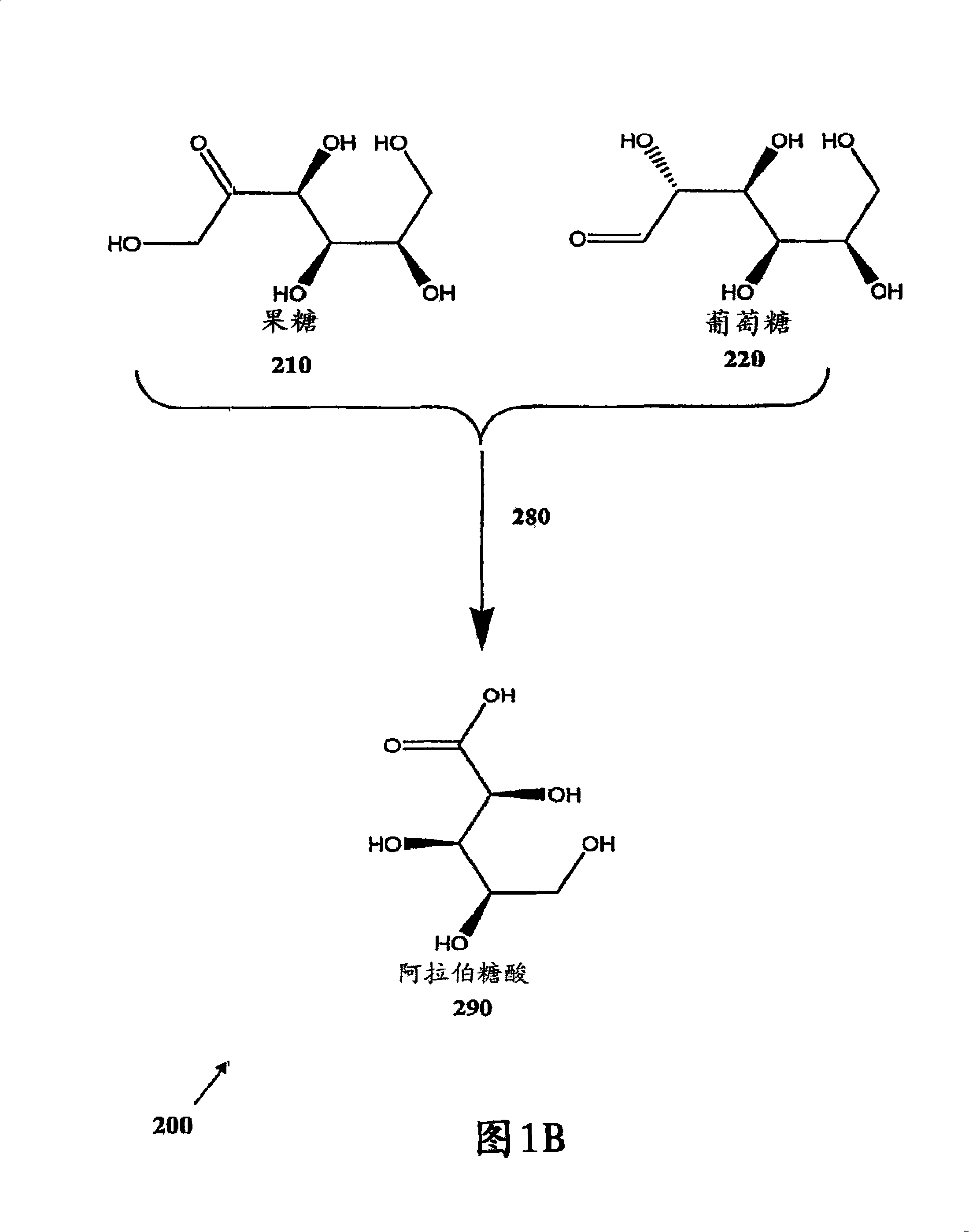 Methods for the electrolytic production of erythrose or erythritol