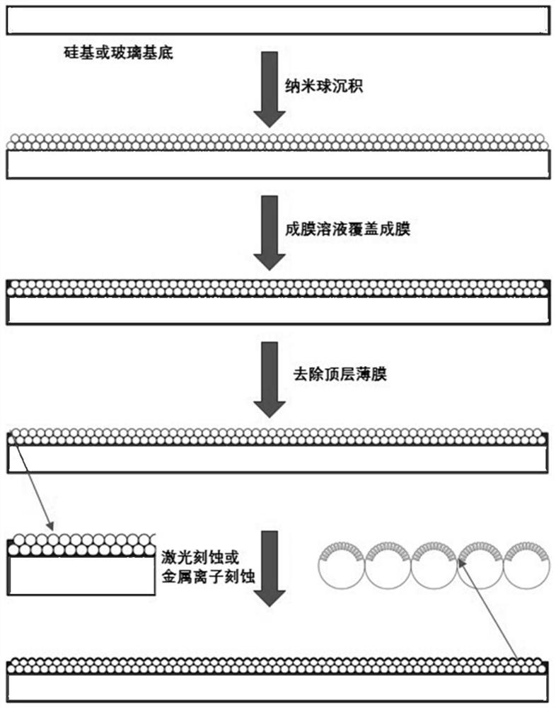 Preparation method of anti-opal secondary structure imitating butterfly compound eyes with high transmission and anti-reflection film