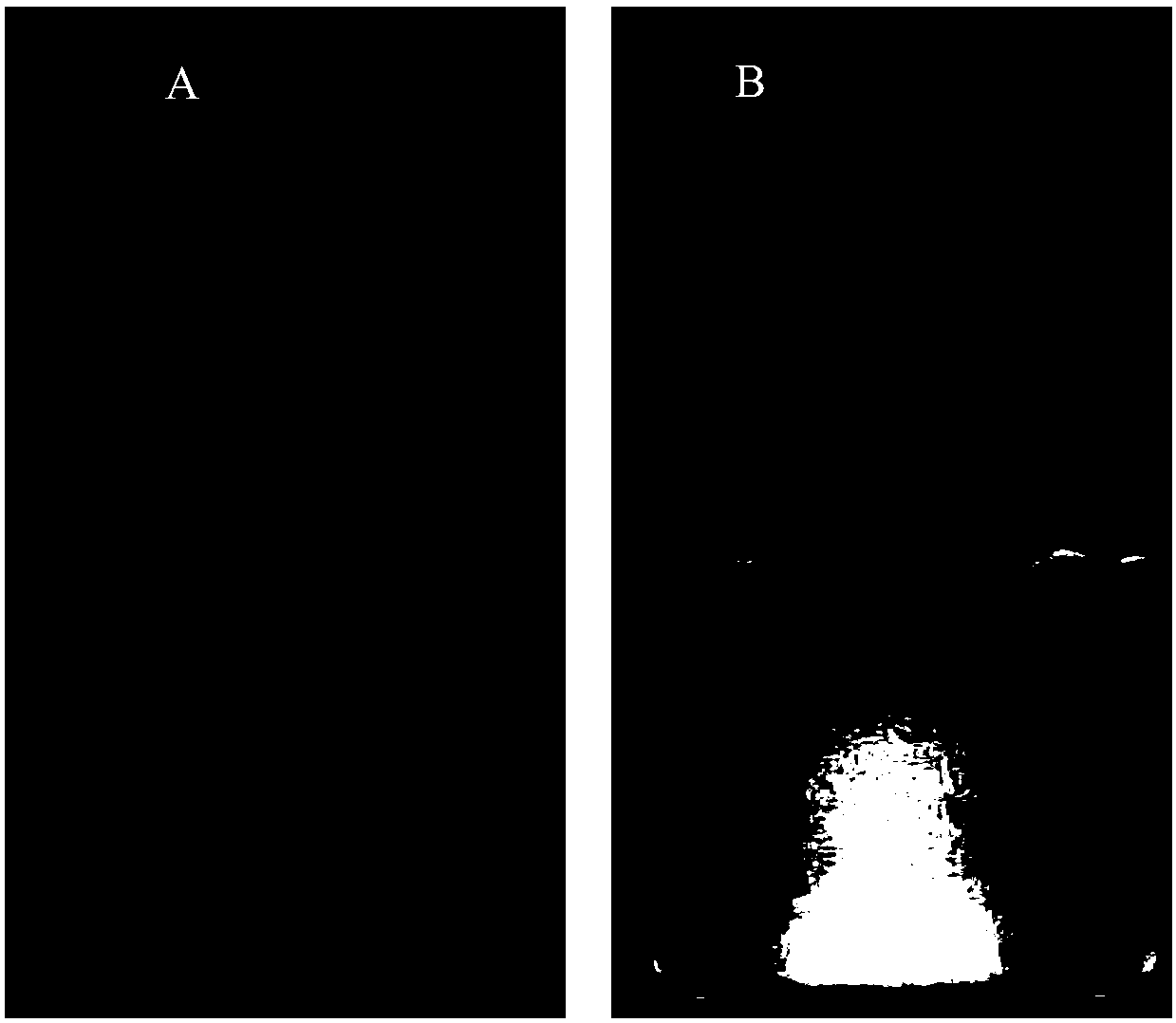 A kind of sulfur-doped graphene quantum dots and its preparation method and application of detecting lead ions