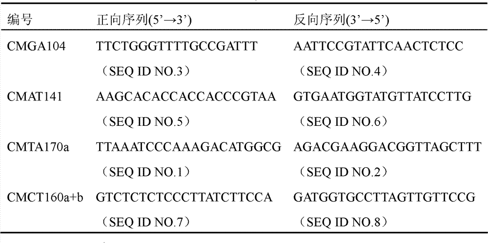 SSR (Simple Sequence Repeats) marker of gummy stem blight resistant gene Gsb-4 of melon