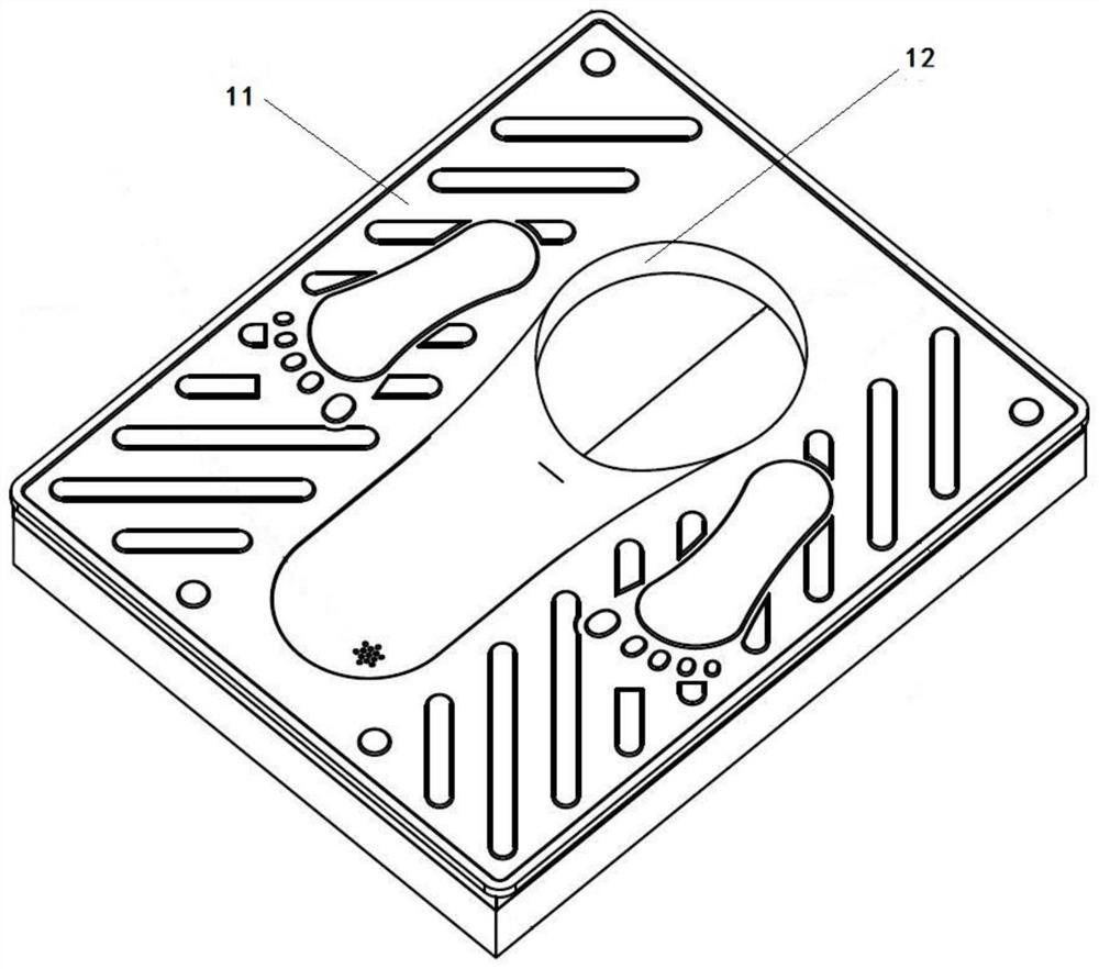 Degradation tank ammonia concentration-based automatic strain adding device