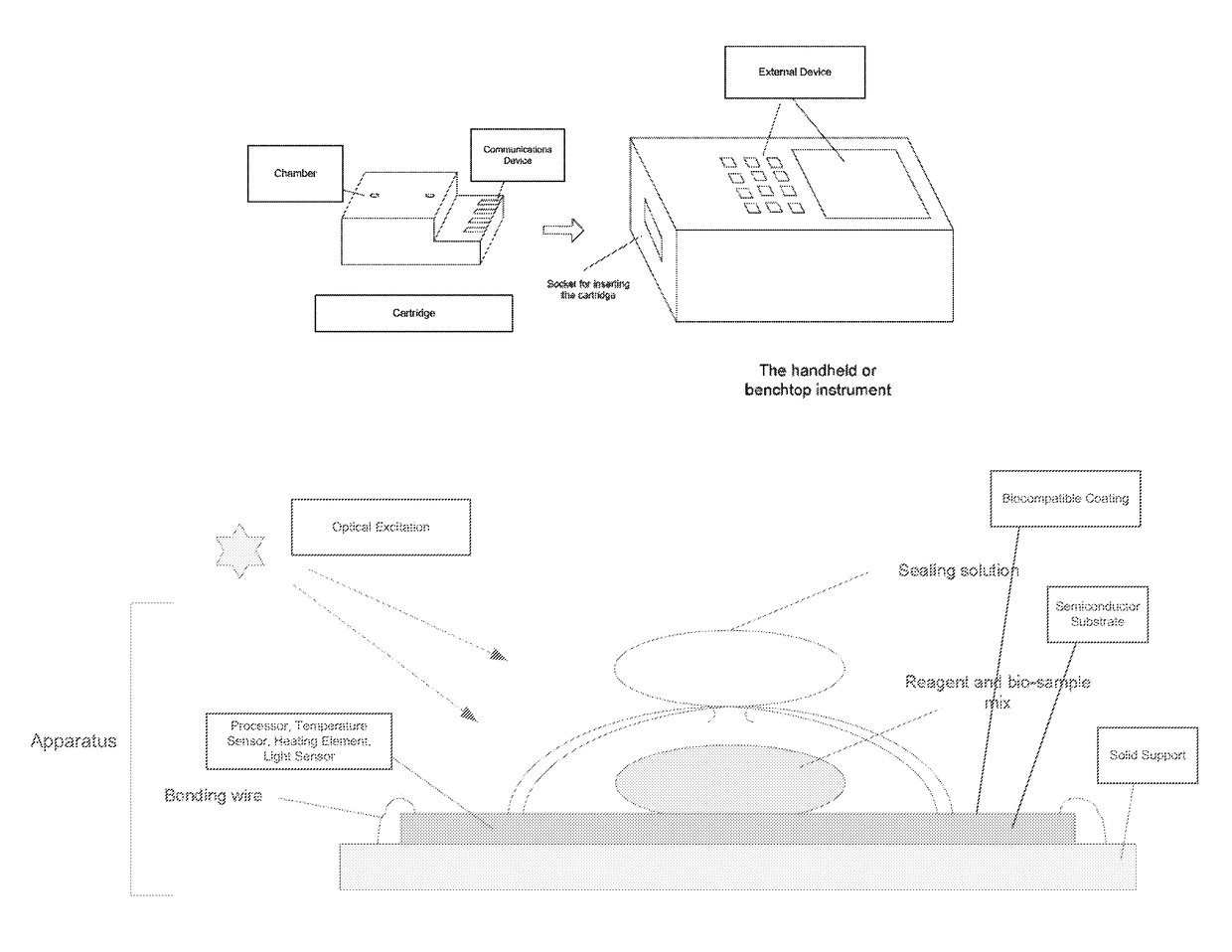 Apparatus for amplification of nucleic acids