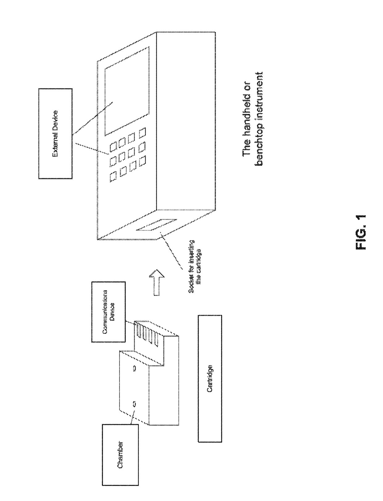 Apparatus for amplification of nucleic acids