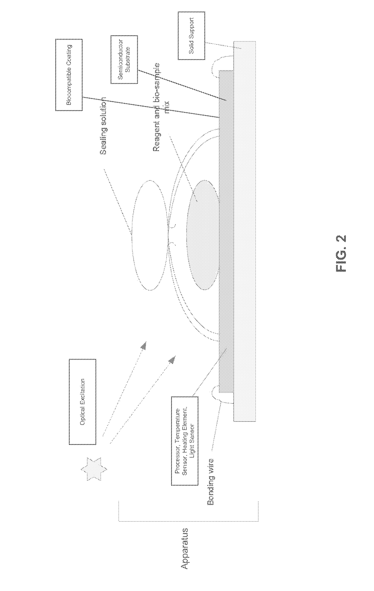 Apparatus for amplification of nucleic acids