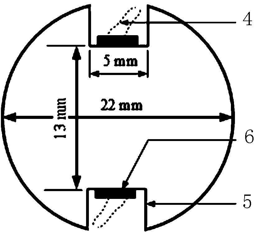 Detection system and method for evaluating damage condition of rocks and cementing materials