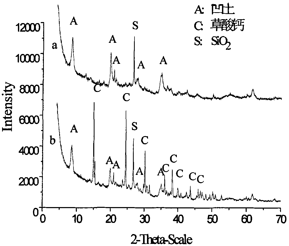 Method for removing iron and whitening for iron-containing attapulgite clay