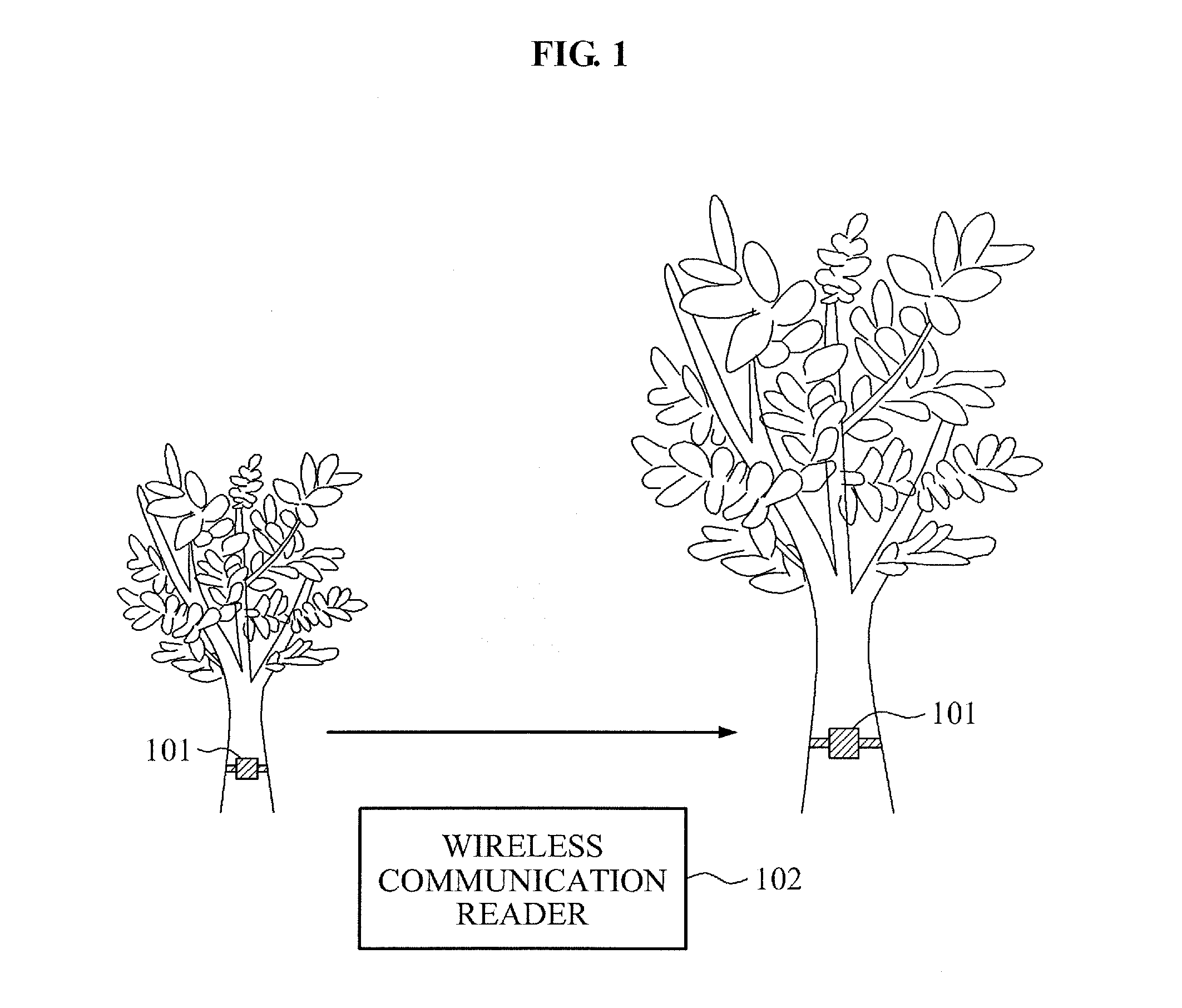 Girth measuring device and method for measuring girth of tree, and wireless communication tag apparatus including girth measuring device