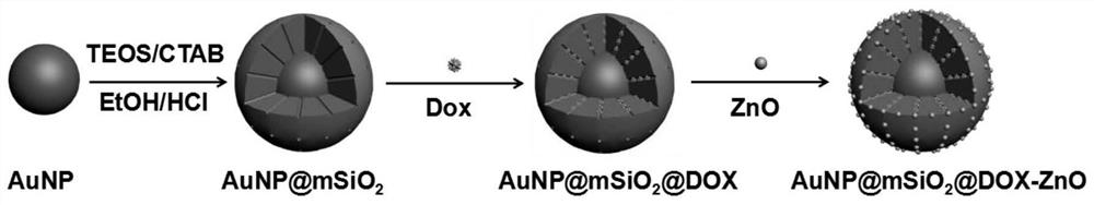 A pH-responsive antitumor drug carrier material and its preparation and application
