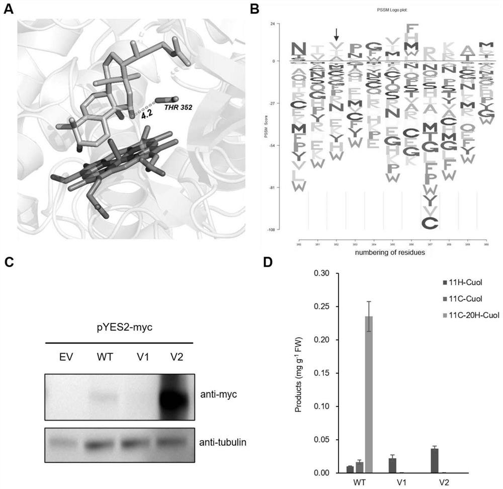 A method for improving enzymes