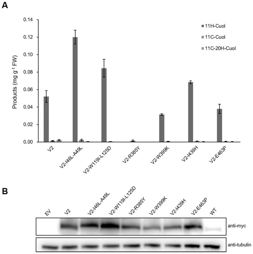 A method for improving enzymes