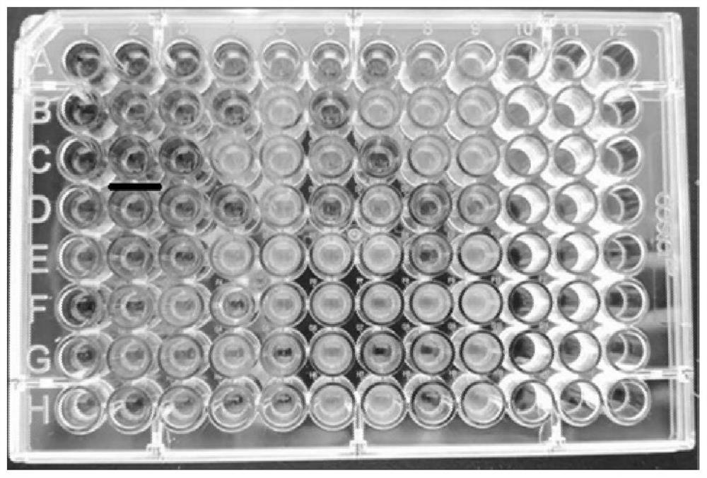 Endophytic bacillus GBW-F008 for producing indoleacetic acid and application of endophytic bacillus GBW-F008