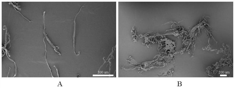 A collagen microfiber hemostatic material and its preparation method and use method