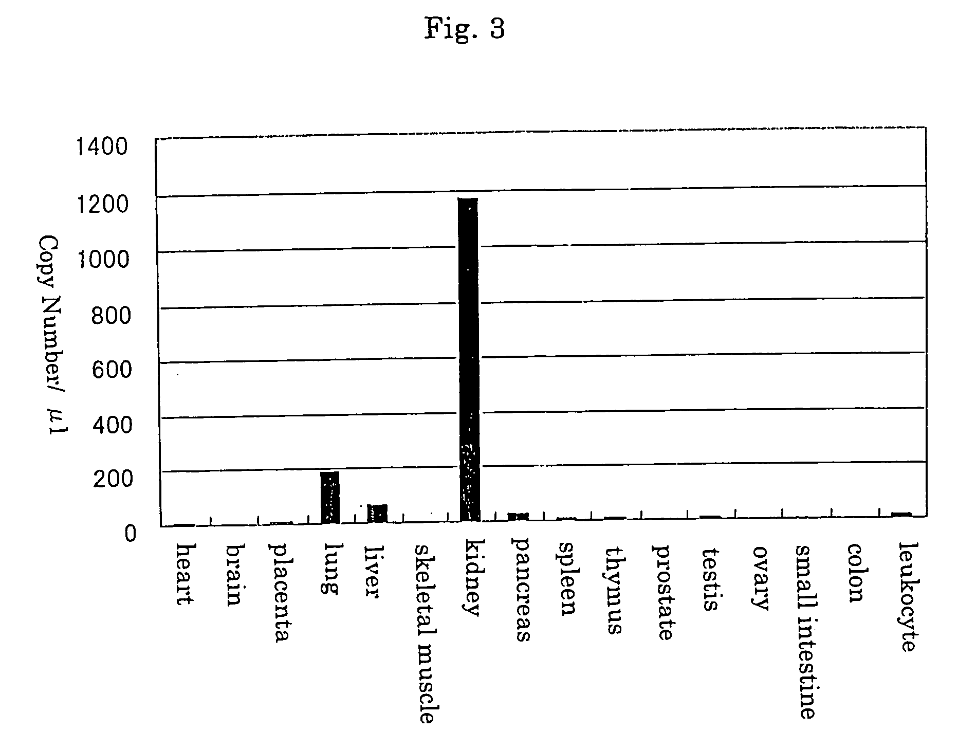 Novel protein and dna thereof