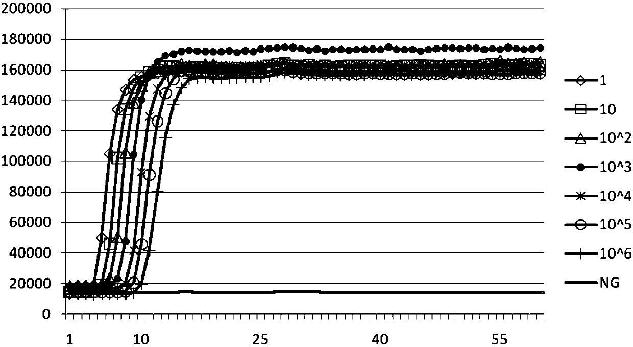 Fluorescence detection kit for detecting prawn enterocytozoon hepatopenaei (EHP) in China