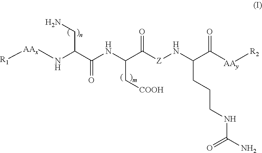 Synthetic peptides useful in the treatment of the skin and use thereof in cosmetic or dermopharmaceutical compositions