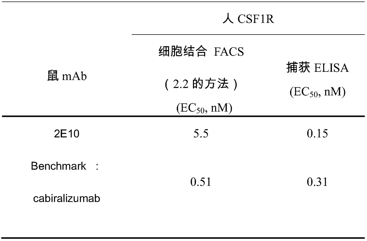 Anti-human CSF-1R monoclonal antibody and application thereof