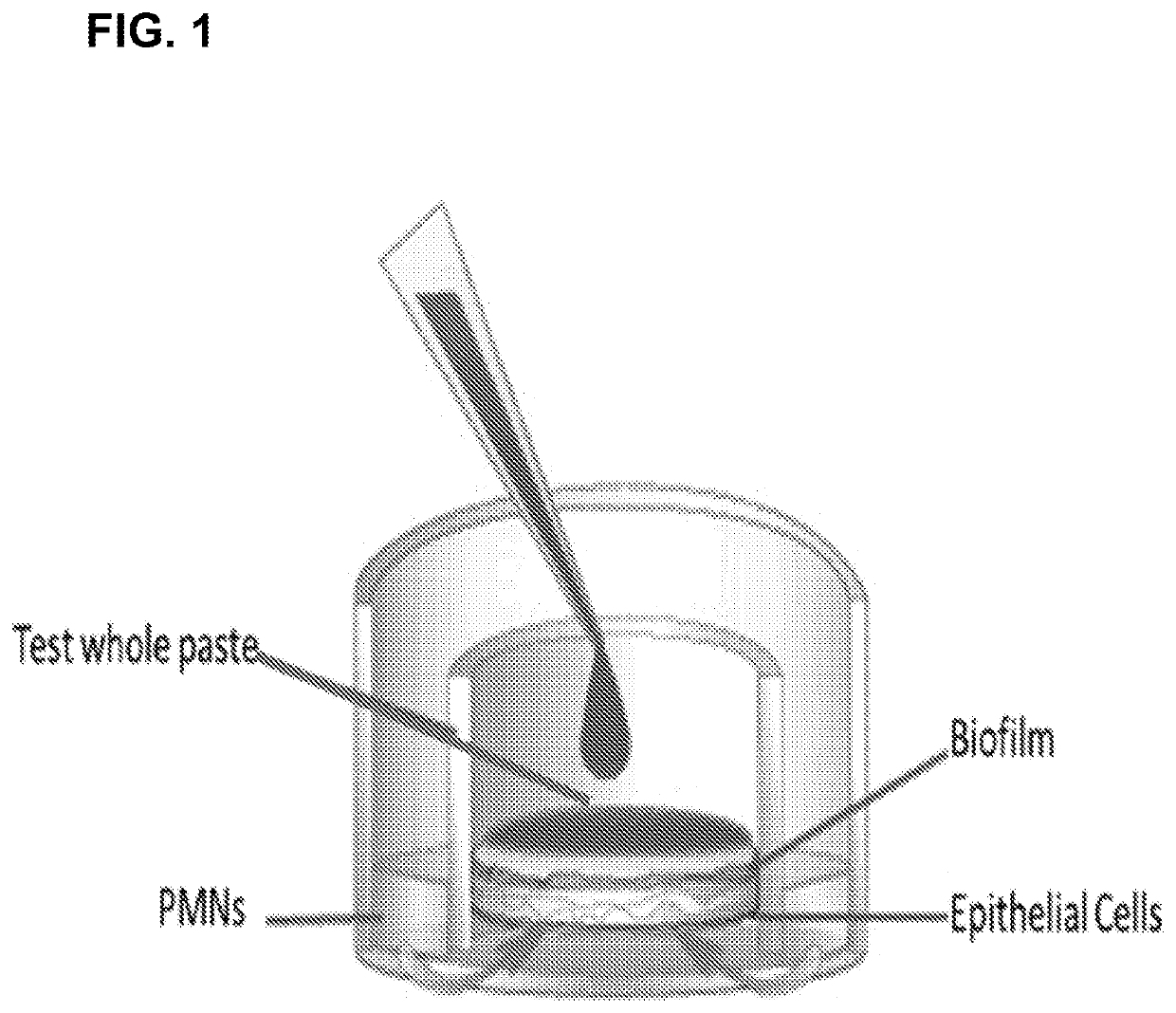 Methods of Inhibiting Neutrophil Recruitment to the Gingival Crevice