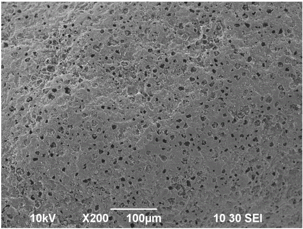 Heavy metal ion adsorbent, preparation method and application