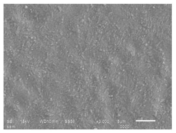 Printed circuit board OSP micro-etching pretreatment liquid and micro-etching method