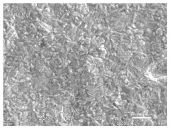 Printed circuit board OSP micro-etching pretreatment liquid and micro-etching method