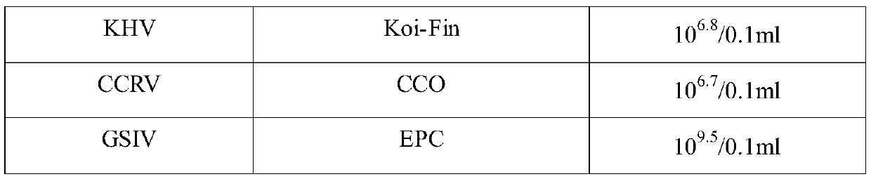 Bacillus licheniformis YFI-2 and application thereof in preparation of drugs for treating viral diseases of freshwater cultured animals