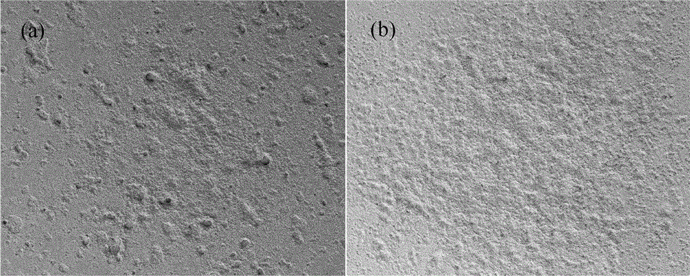 Copper oxide doped silver tin oxide composite and preparation method thereof