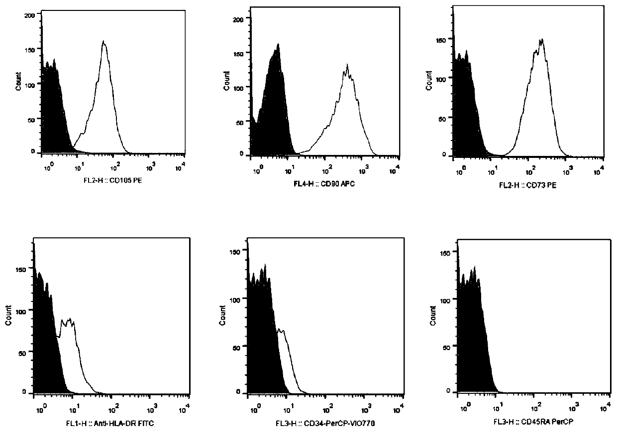 Preparation method of Mesenchymal Stem Cell (MSC) medium for cosmetics