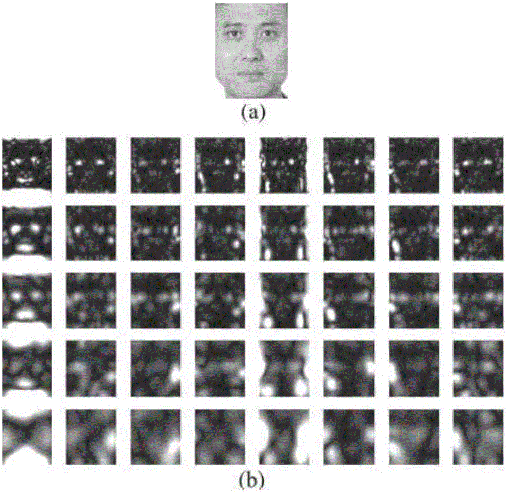 Multi-feature fusion identification algorithm used for human face comparison